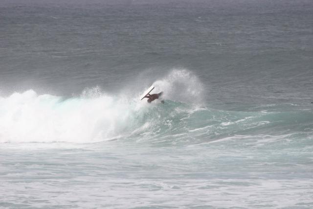 2007 Hawaii Vacation  0771 North Shore Surfing